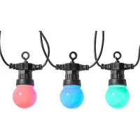 Nedis WIFILP03C10, Leichte Dekorationskette, Schwarz, IP65, Schwarz, 10 Glühbirne(n), LED