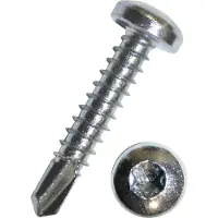SCHMIDT'S Onlineshop Bohrschraube Linsenkopf mit Torx verzinkt - 4,8 x 22 / 0,29 / 9,5