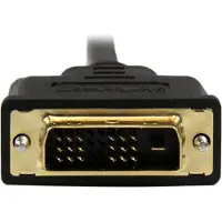 StarTech.com Mini Hdmi Auf Dvi-d -m/m Kabel 2m