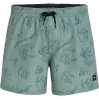 O'Neill Badehose Mix & Match Cali Print 15 Inch Herren Green Vintage Surfer-M