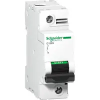 Schneider Electric A9N18381 Leitungsschutzschalter C120N, 1P, 125A, D Charakteristik, 10kA