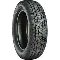 Gripmax Wi car-tyres Suregrip eWinter ( 175/60 R18 85V )