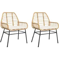 The Living Store Gartenstühle 2 Stk. mit Kissen Braun Poly Rattan
