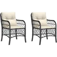 The Living Store Gartenstühle mit Kissen 2 Stk. Schwarz Poly Rattan