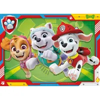 Ravensburger Puzzle Paw Patrol 4 x 42 Teile Karton Kinderpuzzle