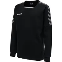 Hummel Pullover Kind hmlAUTHENTIC Training