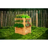 Westmann Premium L Lärchenholz Hochbeet und Kräuterbeet 66x73 cm