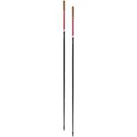 Swix Roadline 1 Pole 150cm