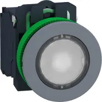 Schneider Electric XB5FWCUST04 Leuchtdrucktaster, Kunststoff, komplett, 30mm, kundenspezifisch via Konfigurator