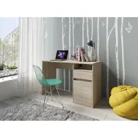 Home affaire Schreibtisch "Tinsley", braun (sonoma eiche, natur, natur), B:120cm H:76cm T:53cm, Tische, Schreibtisch, mit Schublade, und Tür, Breite 120 x53 cm