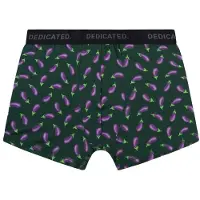 DEDICATED - Boxer Briefs Kalix Egg Plant - Alltagsunterwäsche Gr S grün
