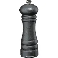 Zassenhaus Salzmühle BERLIN 18 cm gusseisen 23442