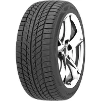 Goodride Winterreifen motorcycle-tyres SW608 ( 225/55 R17 101V XL, mit Felgenschutz (MFS) )