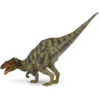 Collecta Afrovenator-figur Grün 3-6 Years Grün 3-6 Years