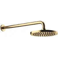 Dornbracht Regenbrause mit Wandanbindung, Ø 220mm, flowReduce, 28648970-28, Farbe: Messing gebürstet