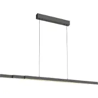 Paul Neuhaus LED-Hängelampe Adriana Comfort Lift, grau, CCT
