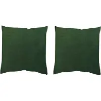 Home wohnideen Dekokissen "ELMER 2ER PACK MIT FÜLLUNG" Gr. 1, grün (grün, unifarben), B:40cm L:40cm, Polyester, Dekokissen_Sitzkissen_Kissenhüllen, Dekokissen