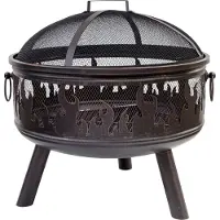 Buschbeck Feuerkorb Wildfire Maße L61 x B61 x H61 cm bronze