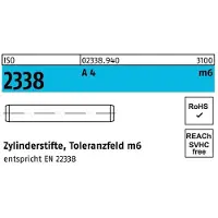 Industrial Quality Supplies ISO 2338 - Edelstahl A4 - 5x8 - Zylinderstifte ungehärtete Ausführung - Toleranzfeld m6