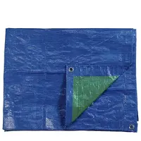EDM 74993 Gartenmarkise 4x6 M