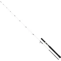 Daiwa Saltist Off Shore Jiggingrute Schwarz 2.06 m / 60-150 g Schwarz 2.06 m