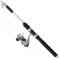 Daiwa Sweepfire Tele+q830fm Spinn-kombo