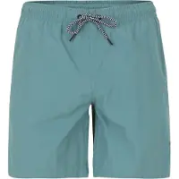 Protest Herren Badeshorts FASTER beachshort