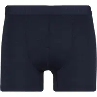 Stoic - Merino150 AlsenSt. Boxer - Merinounterwäsche Gr S blau
