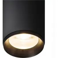 SLV Pendellampe Numinos L Dali schwarze 4000K - 36gr