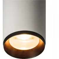 SLV Pendellampe Numinos L Dali weiß/schwarz 2700K - 60gr