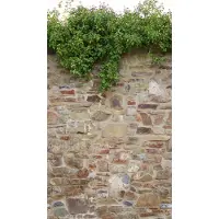 Living Walls Fototapete "Steinmauer Fototapete", bunt (beige,braun,grün), B:1,59m H:0,01m L:2,8m, Vlies, Tapeten, Fototapete, Tapete Steinoptik Stein-Tapete Loft Industrial Used Look