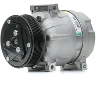 Delphi Kompressor, Klimaanlage TSP0155897