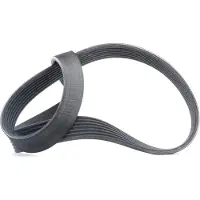 CONTITECH Keilrippenriemen 7pk1035 für BMW INFINITI NISSAN RENAULT