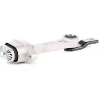 Meyle Lagerung, Motor 1001990045 hinten für VW
