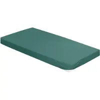 Irisette Spannbettlaken "Kuschel Jersey Spannbettlaken Vesuv", grün, L:200cm, Jersey, Obermaterial: 100% Baumwolle, Bettlaken, Spannbettlaken, mit Rundumgummizug
