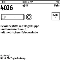 Reyher DIN 913 / ISO 4026 - Stahl 45 H blank - M 5x0,5x6 - Gewindestifte mit ISK - FEINGEWINDE