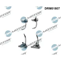 Dr.Motor Automotive Öldüse Kolbenbodenkühlung DRM01807 für CITROËN JUMPER Kasten