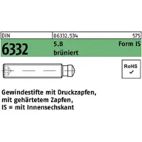 Reyher Gewindestift DIN 6332 Form IS m.Zapfen/Innensechskant IS M 10 x 45 5.8 brüniert