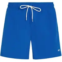 O'Neill Vert 16'' Swimshorts victoria blue (15019) XS
