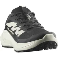 Salomon alphaglide w schwarz in Gr. 42.5