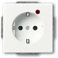 Busch-Jaeger Busch-Protector SCHUKO Steckdosen- 2CKA002011A3882