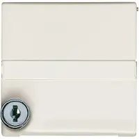 ABB Busch-Jaeger Adapterplatte mit Text und Schloss IP44 - 2CKA001710A3791