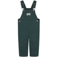 Levi's Latzhose KIDS, Jungen, Gr. 6M68, N-Gr, grün (bistro grün), Obermaterial: 98% Baumwolle, 2% Elasthan, lang, Hosen Latzhose