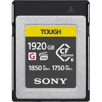 Sony CEB-G Series CEB-G1920T - Flash-Speicherkarte