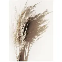 Reinders! Poster REINDERS "Sonniges Gras", beige (farbe bild(er): beige), B:30cm H:40cm T:1,6cm, MDF, Bilder, Poster