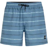 O'Neill Cali First 15'' Swimshorts blue stripe (35161) XS
