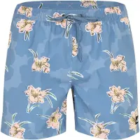 Quiksilver Boardshorts "Everyday Straight 15"