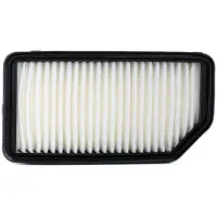 Champion Luftfilter CAF100879P Filtereinsatz 55mm für KIA