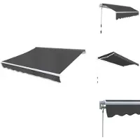 vidaXL Gelenkarmmarkise Handbetrieben 300 cm Anthrazit - Markisen
