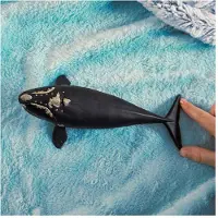 Schleich WILD LIFE Nordatlantischer Glattwal, 3 Jahr(e), Ice & Ocean, Wild animals / adventure toys, Mehrfarbig